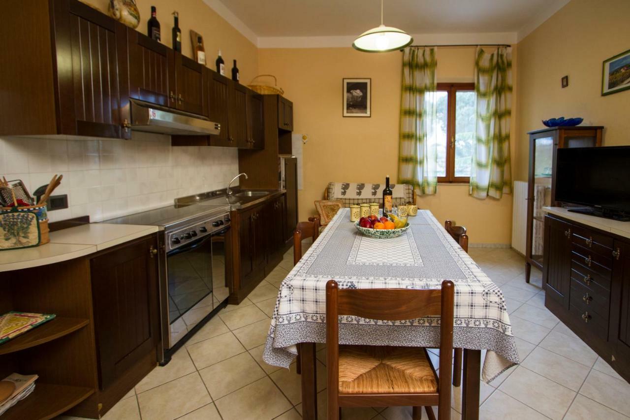 Casa Elena Apartman Cortona Kültér fotó